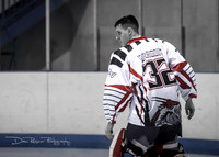 Stefen desat hockey