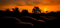 sunset cars-1