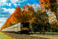 train and trees final no watermark - for istock