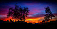 Arizona Sunset