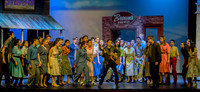 All Shook Up